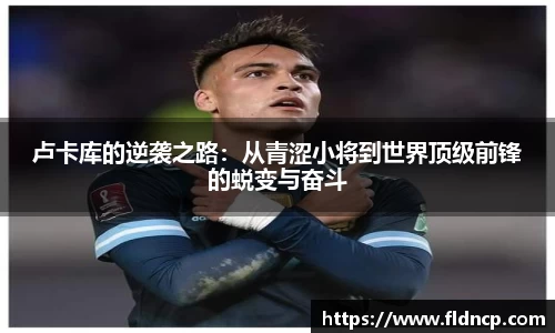 emc易倍体育官方网站